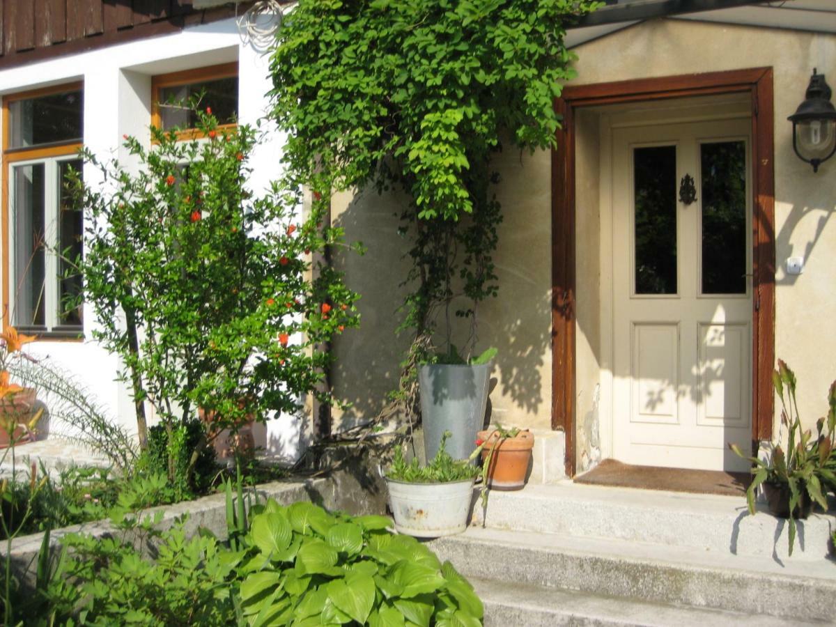 Mala Kmetija Bed & Breakfast Slovenske Konjice Ngoại thất bức ảnh